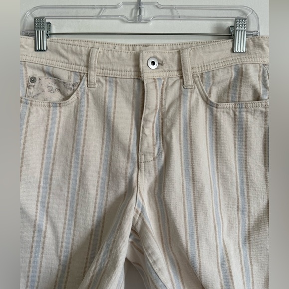 Anthropologie Pilcro High Rise Striped Slim Boyfriend Denim Jean Shorts Size 27 - Picture 5 of 13